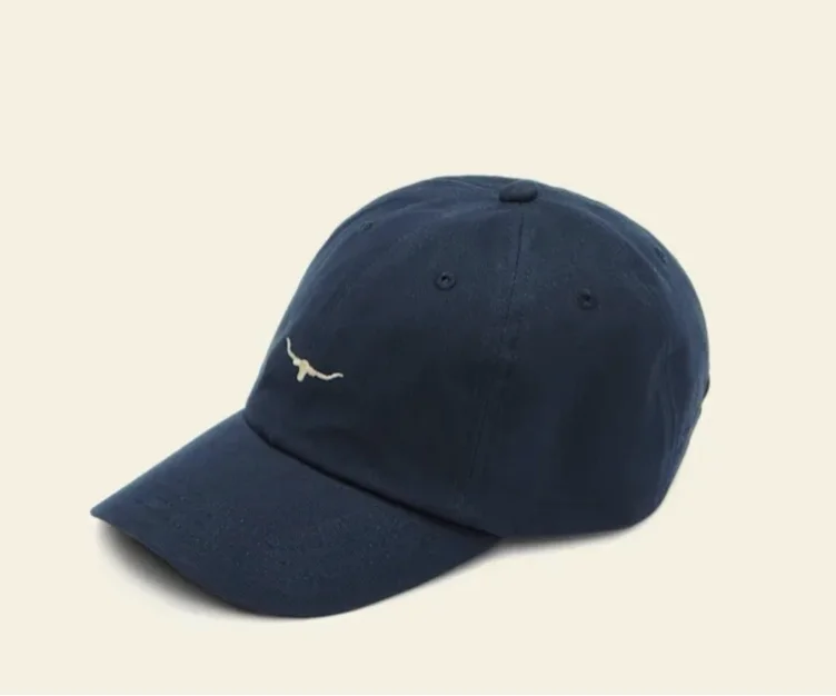 Mini longhorn twill cap