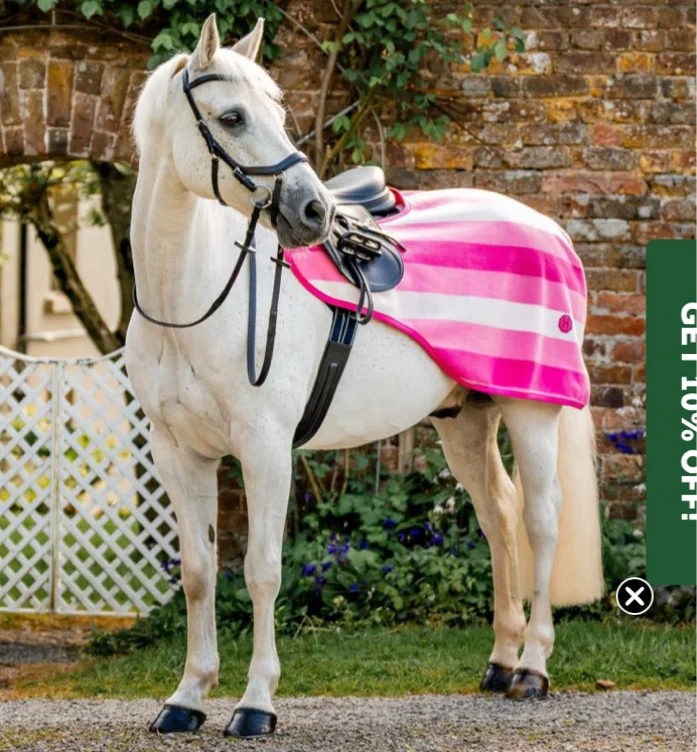 Horseware® Newmarket Exercise Sheet