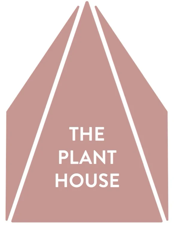Any plant
