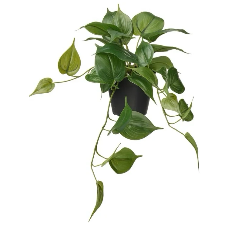 FEJKA Artificial potted plant - indoor/outdoor Golden Pothos/hanging 4 ¾ "