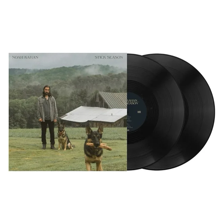 Stick Season — Vinyl Record
