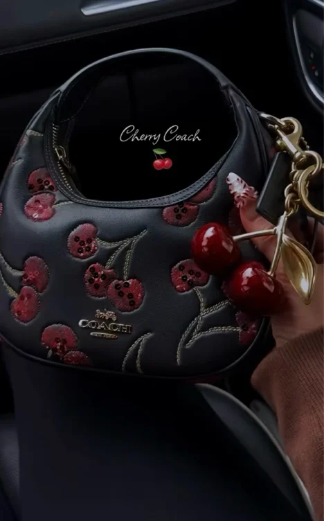 Coach cherry bag