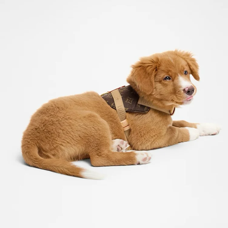 Harness PM