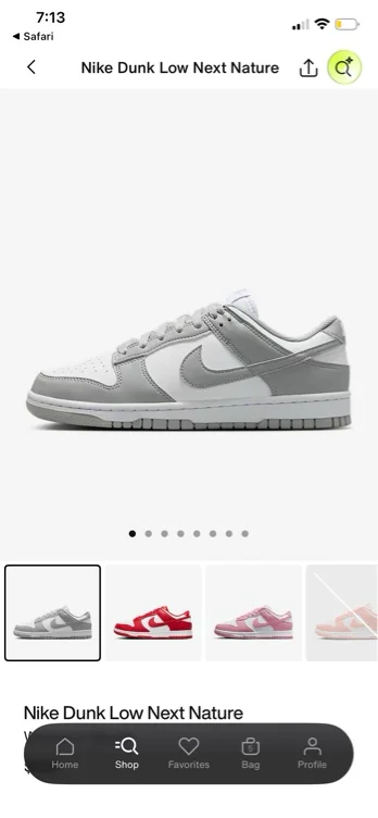 Nike Dunk Low Next Nature Women's Shoes