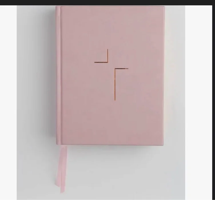 The Jesus Bible, ESV Edition, Leathersoft Over Board, Pink
