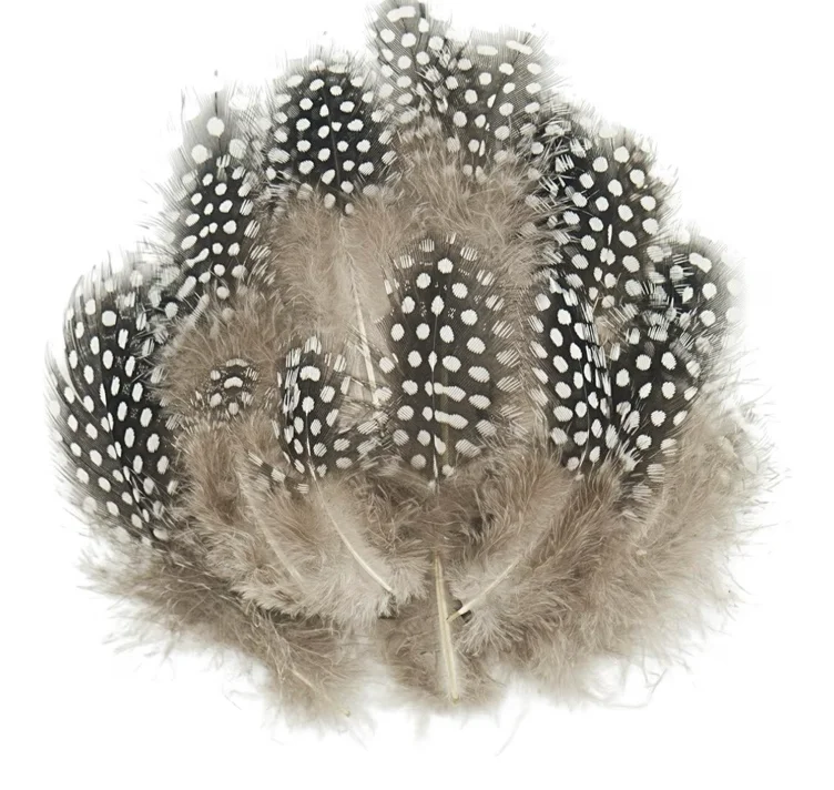 Amazon.com: 50 Pcs White Pheasant Plumage Feathers, 2-4 Inch Colored Spotted Feathers for Crafts, Natural Pheasant Feathers Hat Feathers for Floral Arrangements, Clothes Jewelry Making, Cat Toy : Arts, Crafts & Sewing