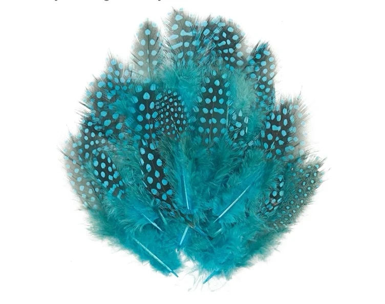 Amazon.com: 50 Pcs White Pheasant Plumage Feathers, 2-4 Inch Colored Spotted Feathers for Crafts, Natural Pheasant Feathers Hat Feathers for Floral Arrangements, Clothes Jewelry Making, Cat Toy : Arts, Crafts & Sewing