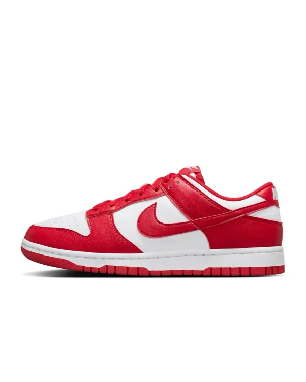 Nike Dunk Low Next Nature Women's Shoes